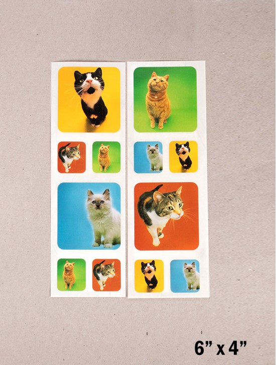 Kittens Photographic Stickers