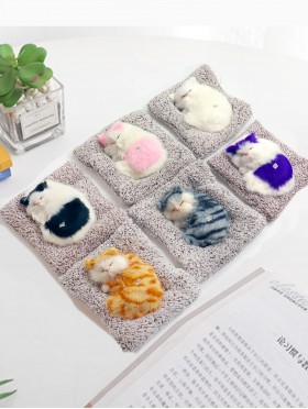 Cat on Carpet, Meowing