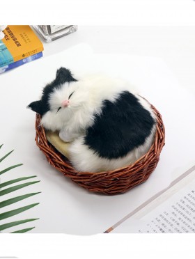 Cat in Basket, Meowing