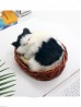 Cat in Basket, Meowing