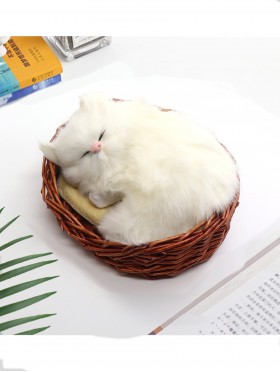 Cat in Basket, Meowing