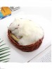 Cat in Basket, Meowing