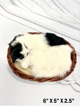 Furry Animals & Toys Furry Animals & Toys
