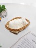 Cat in Basket, Meowing