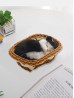 Cat in Basket, Meowing