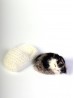 Meowing Sleeping Kittens with Knitted Slipper Nests