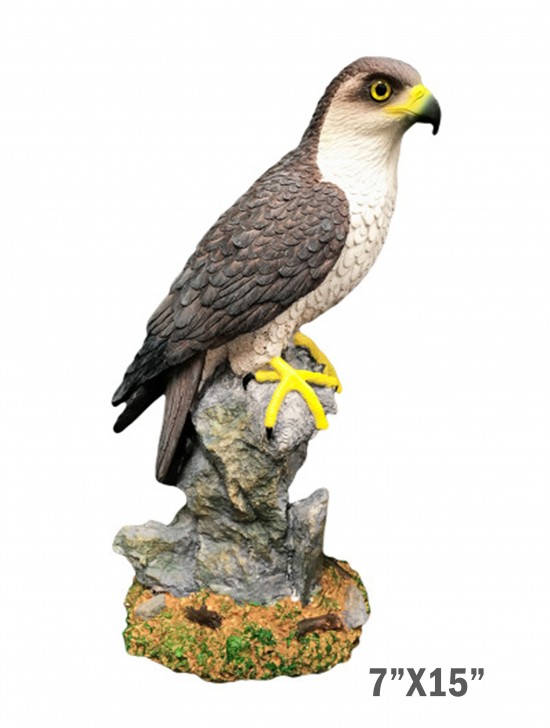 15" Falcon