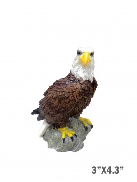 4.25" American Eagle
