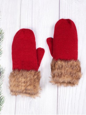 Double Layered Winter Mittens