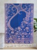 Multi-Tone Paisley Print Shawl Scraf 