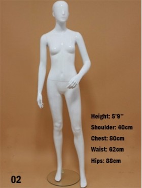 Full Body Mannequin Display