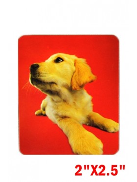 PHOTOGRAPHIC MAGNETS-DOG