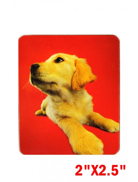 PHOTOGRAPHIC MAGNETS-DOG