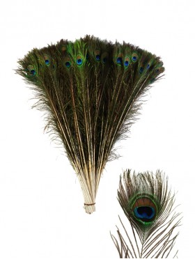 DECORATIVE FEATHERS (50 PCS)